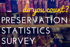 Preservation Statistics logo